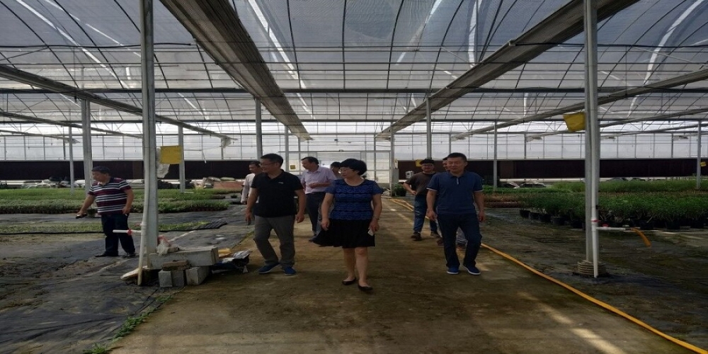 抗旱現(xiàn)場(chǎng)送“清涼”