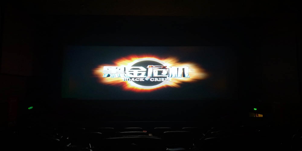 和合生態(tài)組織觀看廉政教育電影《黑金危機(jī)》