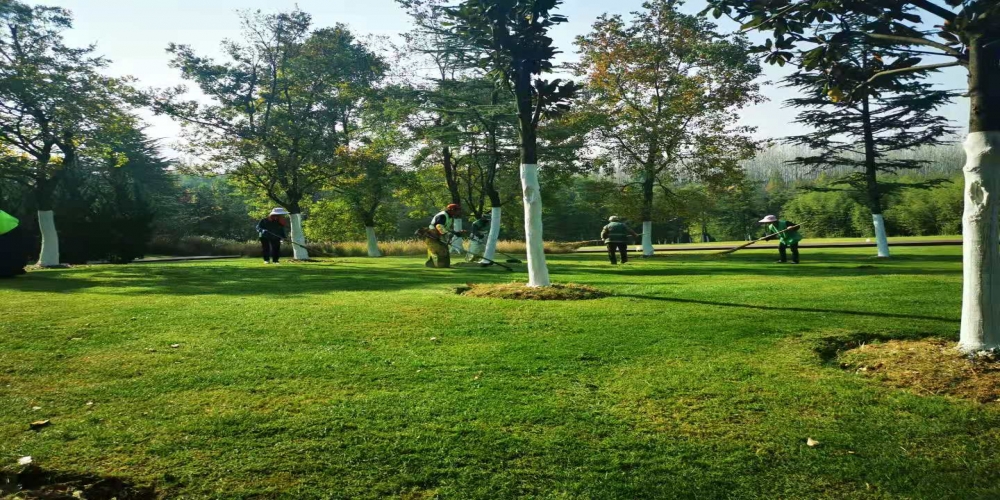 合肥市凌云市長赴廬州公園調研體育工作