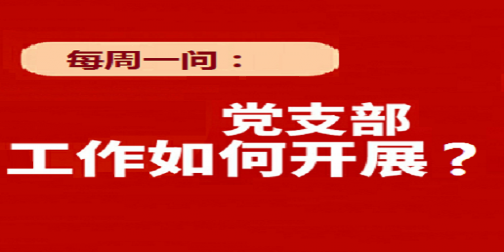 黨支部工作如何開展？
