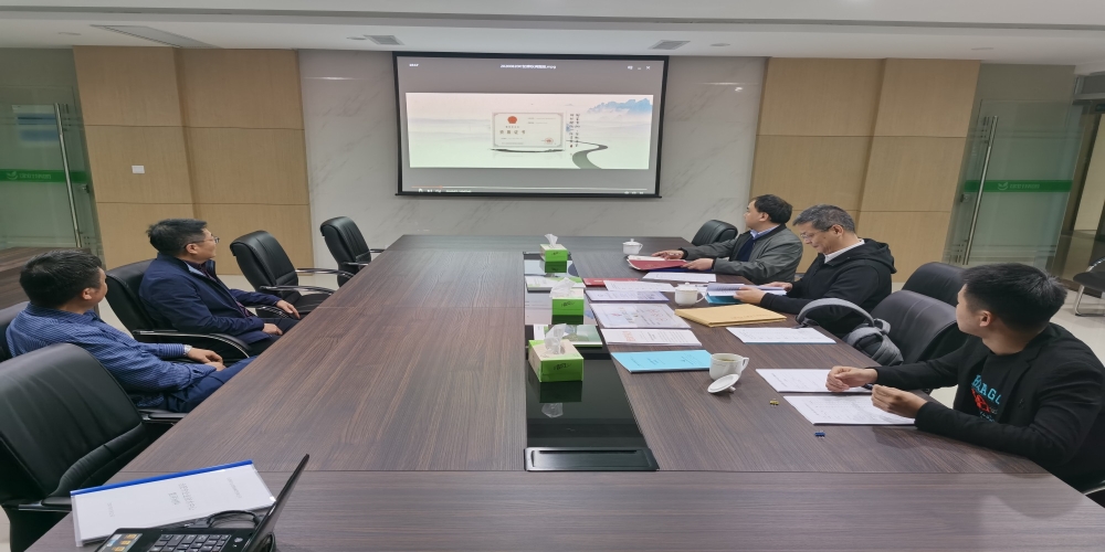 合肥市市級企業技術中心復審小組蒞臨綠葉集團考察指導