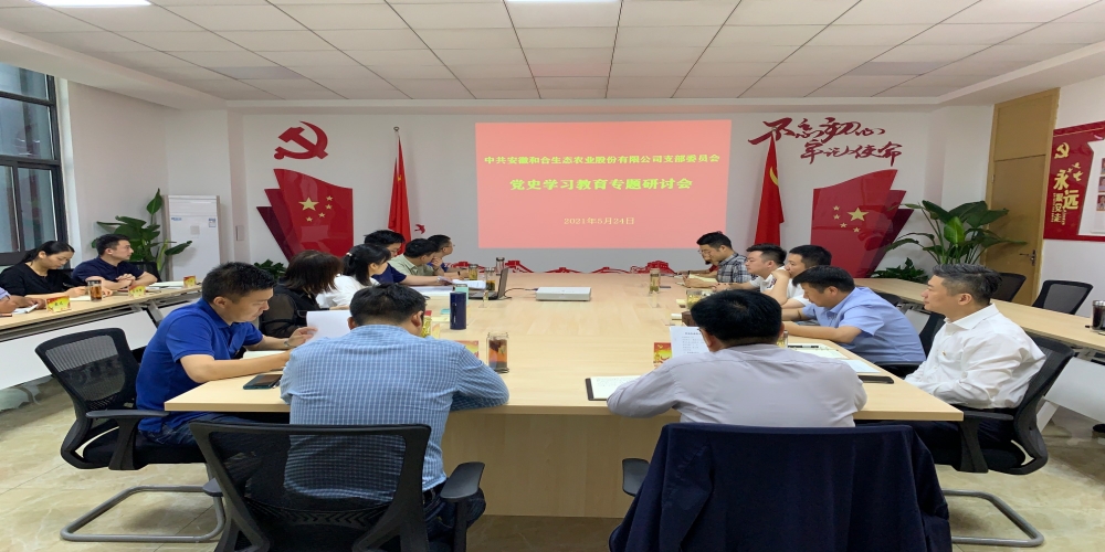 和合生態黨支部召開黨史學習教育專題研討會