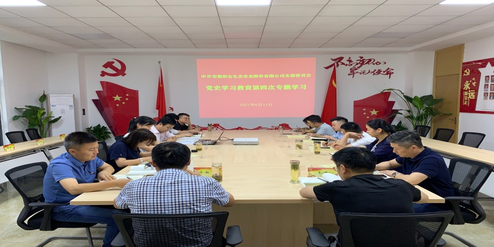 和合生態黨支部召開黨史學習教育第四次專題學習