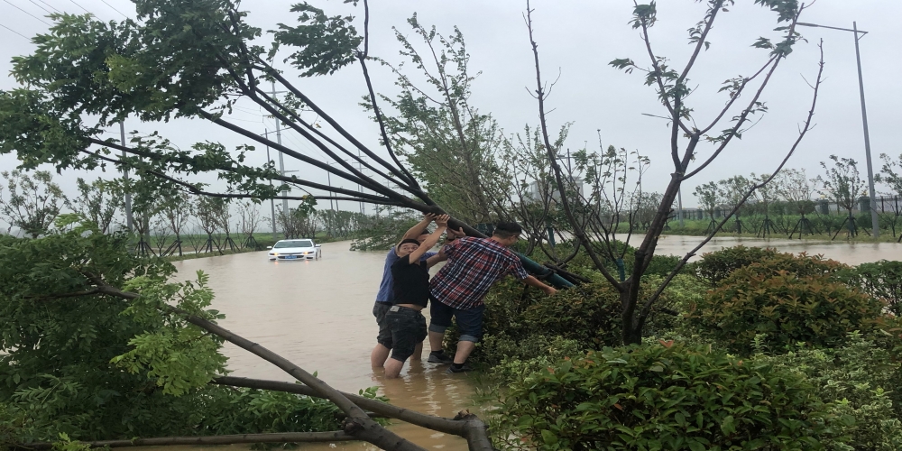 臺(tái)風(fēng)無(wú)情人有情 項(xiàng)目一線(xiàn)見(jiàn)初心——渦陽(yáng)綠葉公司全力以赴應(yīng)對(duì)臺(tái)風(fēng)“煙花”