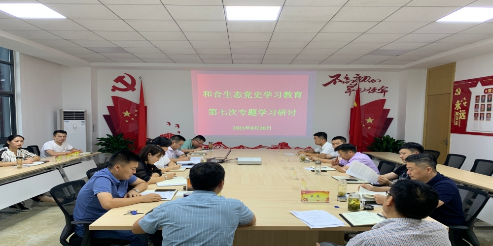 和合生態(tài)黨支部召開黨史學(xué)習(xí)教育第七次專題學(xué)習(xí)研討