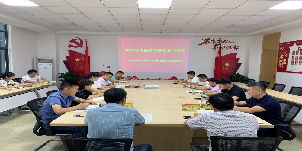 和合生態(tài)黨支部召開黨史學(xué)習(xí)教育專題組織生活會