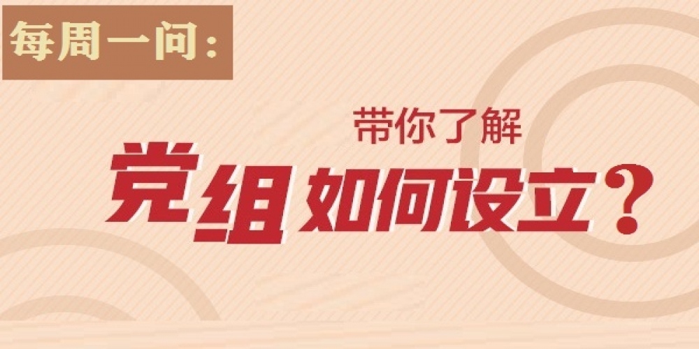 黨組如何設立？
