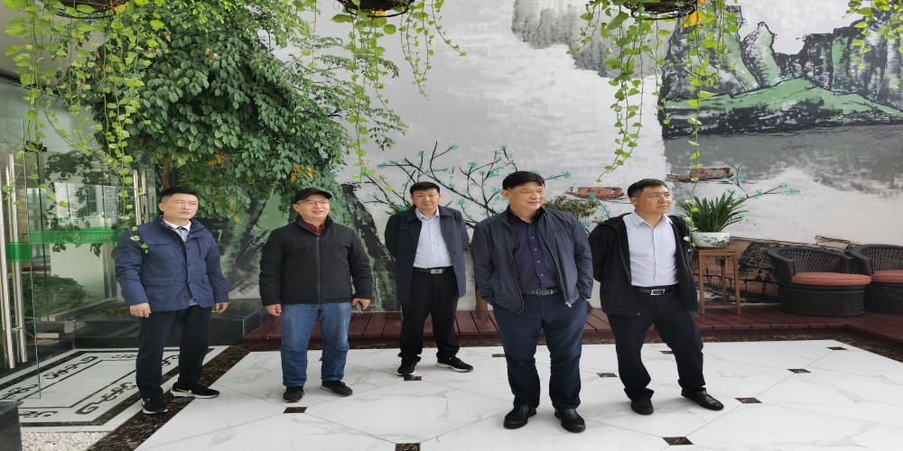 合肥經開區建管中心領導蒞臨集團調研指導