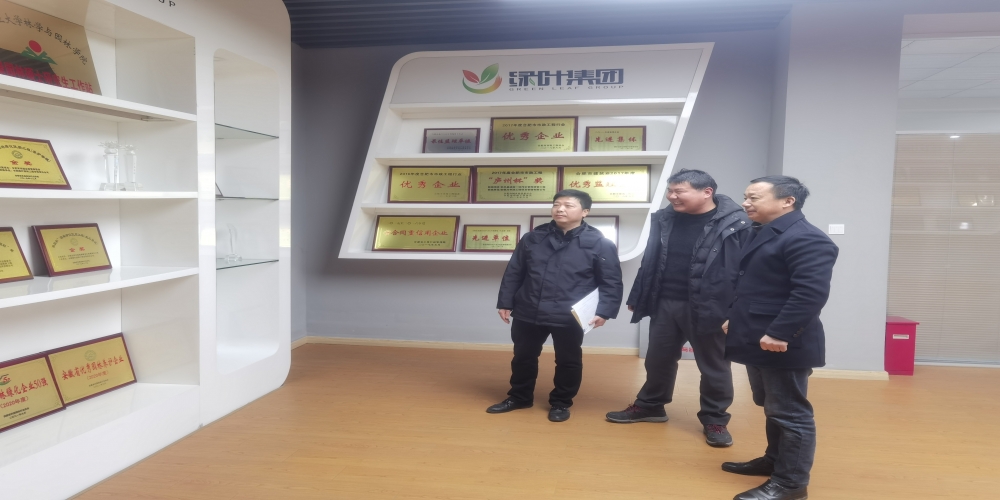 合肥市經(jīng)開區(qū)人事勞動局、人力資源中心赴綠葉集團(tuán)考察調(diào)研