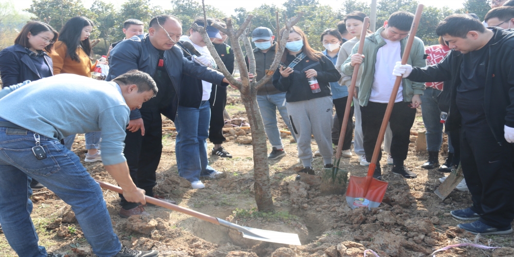 省供銷集團及各控股企業團員青年赴綠葉集團小廟基地開展植樹活動