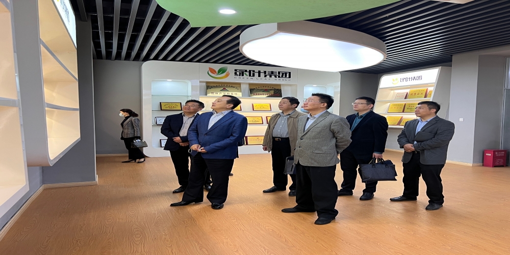 安徽省住房和城鄉建設廳副廳長劉孝華赴綠葉集團考察調研