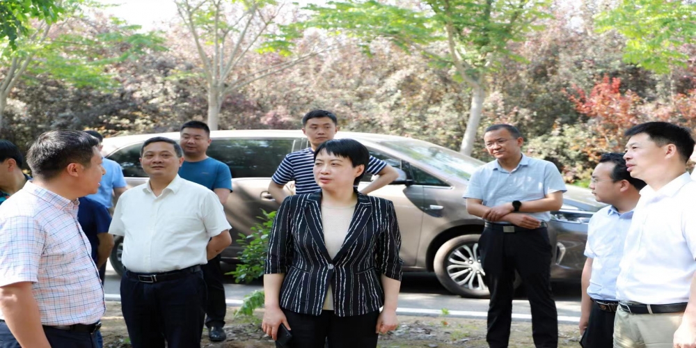 蜀山區委書記王海霞視察綠葉集團小廟基地
