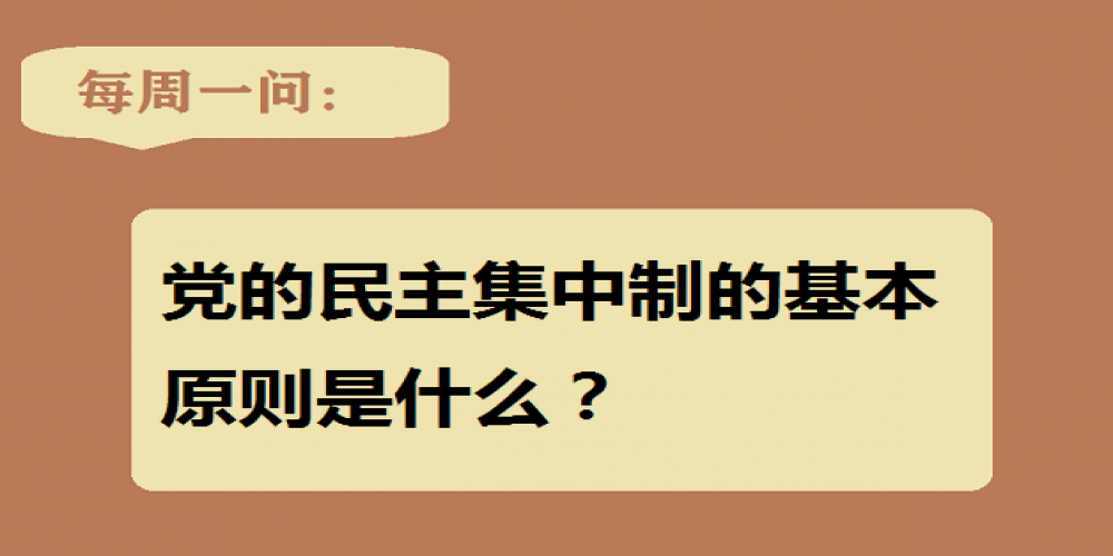 黨的民主集中制的基本原則是什么？