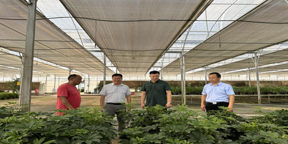 綠葉集團安環(huán)領導小組赴小廟基地開展安全專項檢查