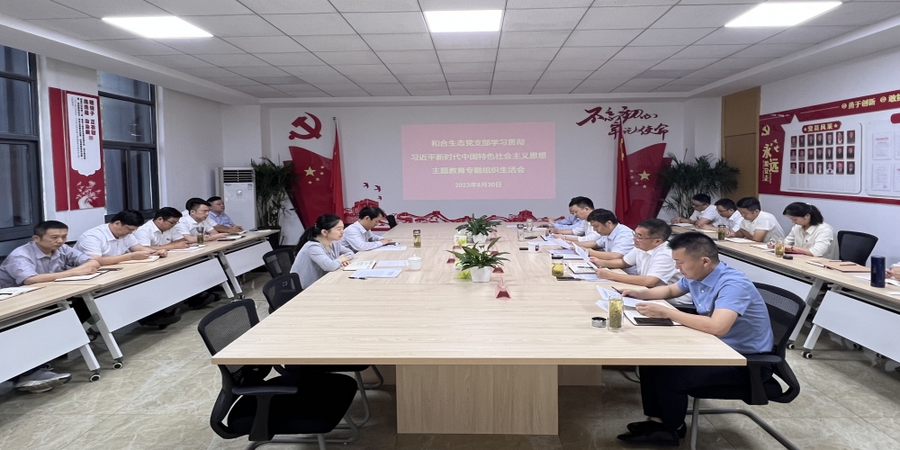 省委主題教育第九巡回指導組列席指導和合生態黨支部主題教育專題組織生活會