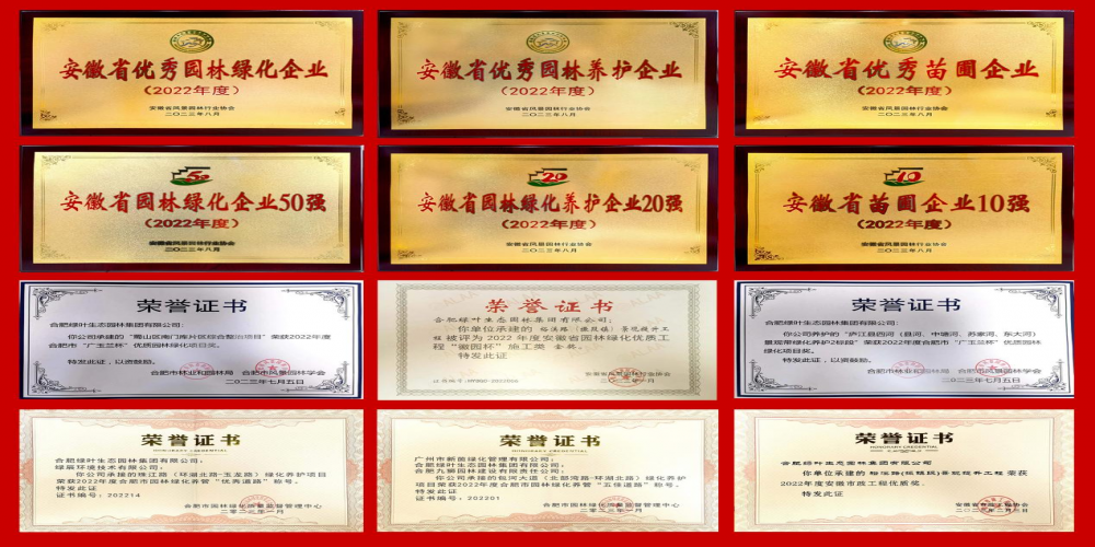 提升資信拓空間  創(chuàng)新發(fā)展賦新能