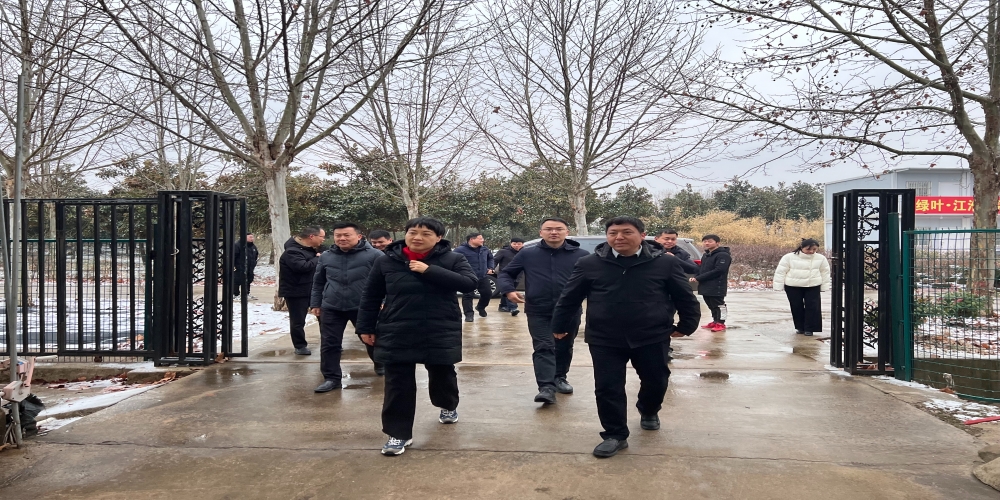 王海霞赴綠葉集團小廟基地調(diào)研鄉(xiāng)村振興工作