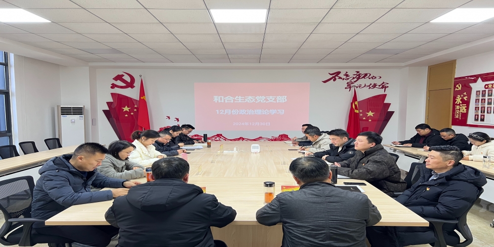和合生態黨支部組織開展12月份政治理論學習